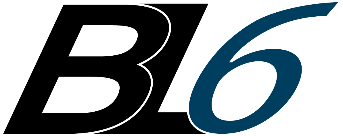 BL6